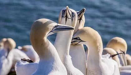 嘉善高价上海医保提取2025的最新政策(2025年嘉善上海医保怎么提取现金分享)