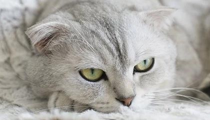 嘉善高价上海医保提取2025的最新政策(2025年嘉善上海医保怎么提取现金分享)