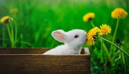 嘉善高价上海医保提取2025的最新政策(2025年嘉善上海医保怎么提取现金分享)